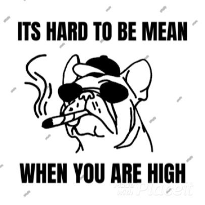  Cool Instagram Video Template for a Marijuana Post 791